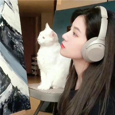 惜花芷